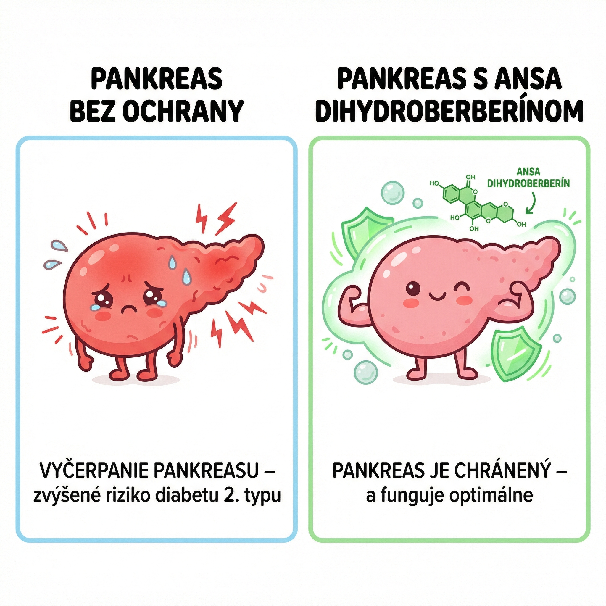 Pankreas bez ochrany vs Pankreas s Ansa Dihydroberberínom