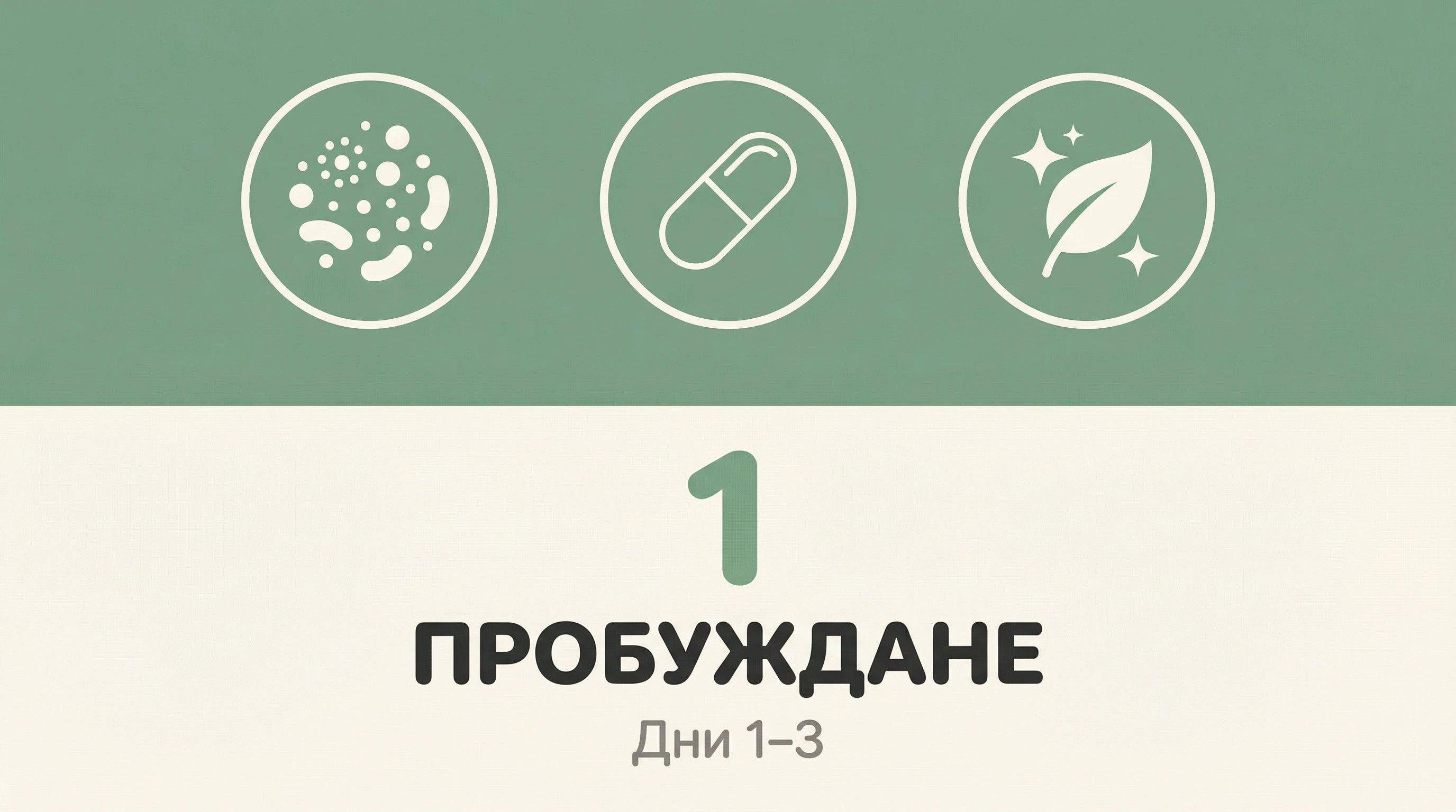 Фаза 1: Пробуждане