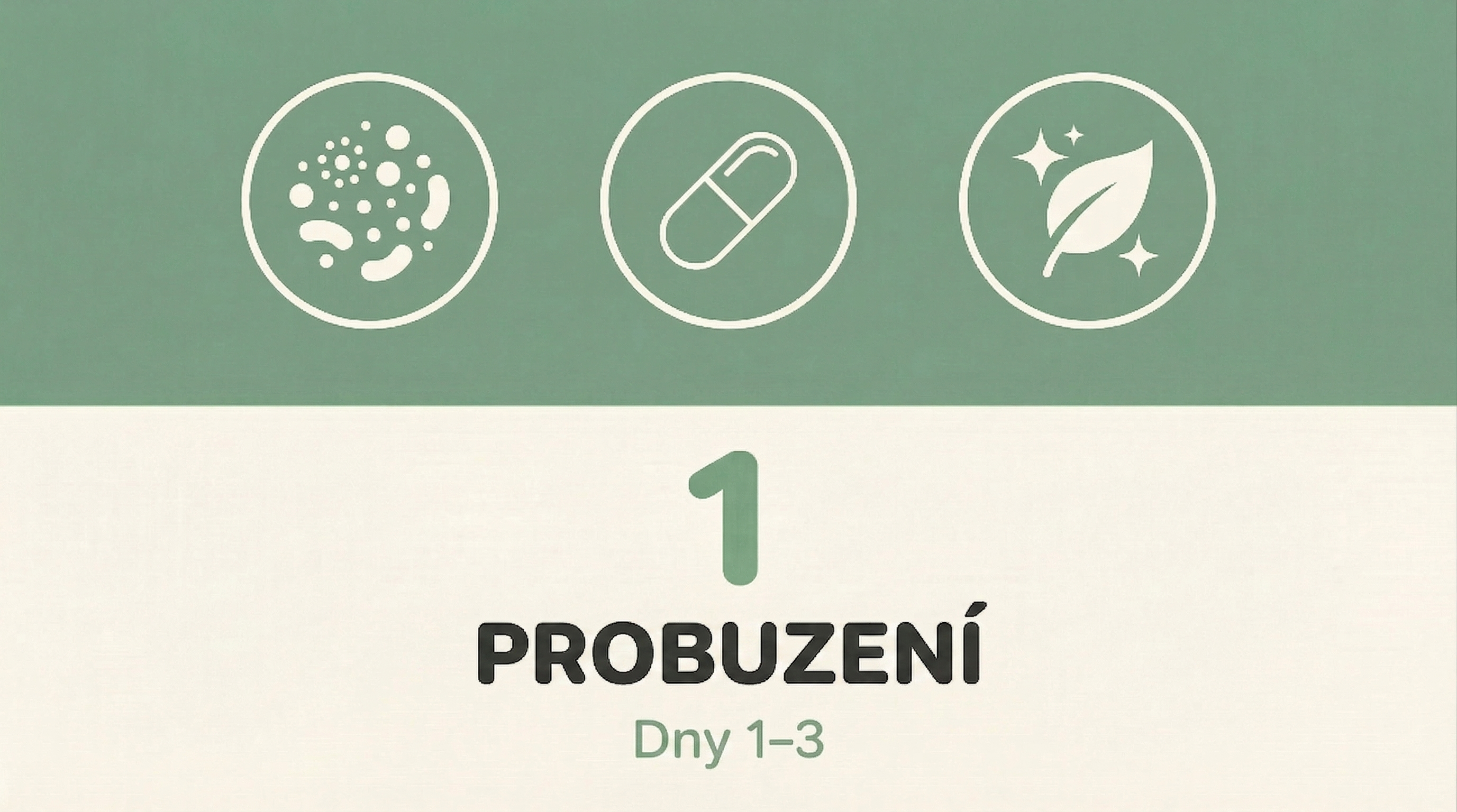 Fáze 1: Probuzení