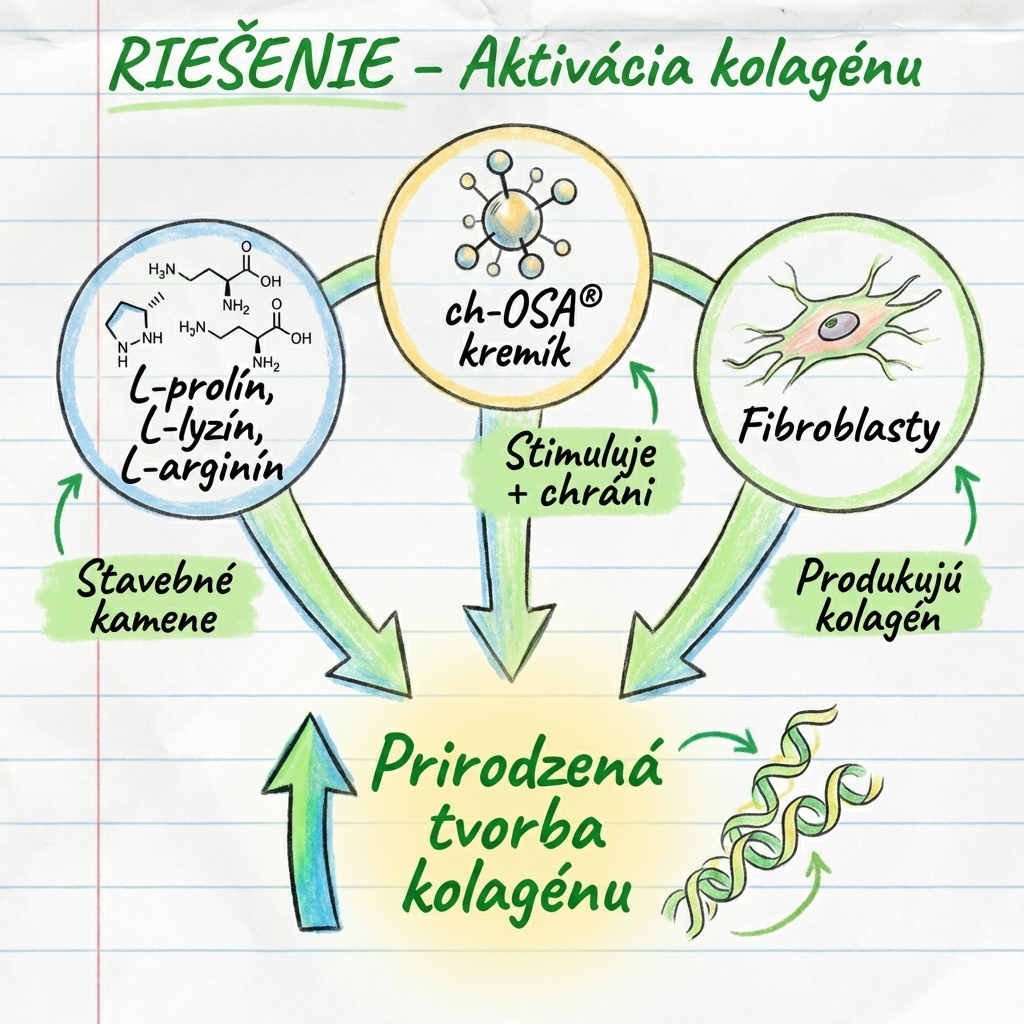 Riešenie - aktivácia kolagénu