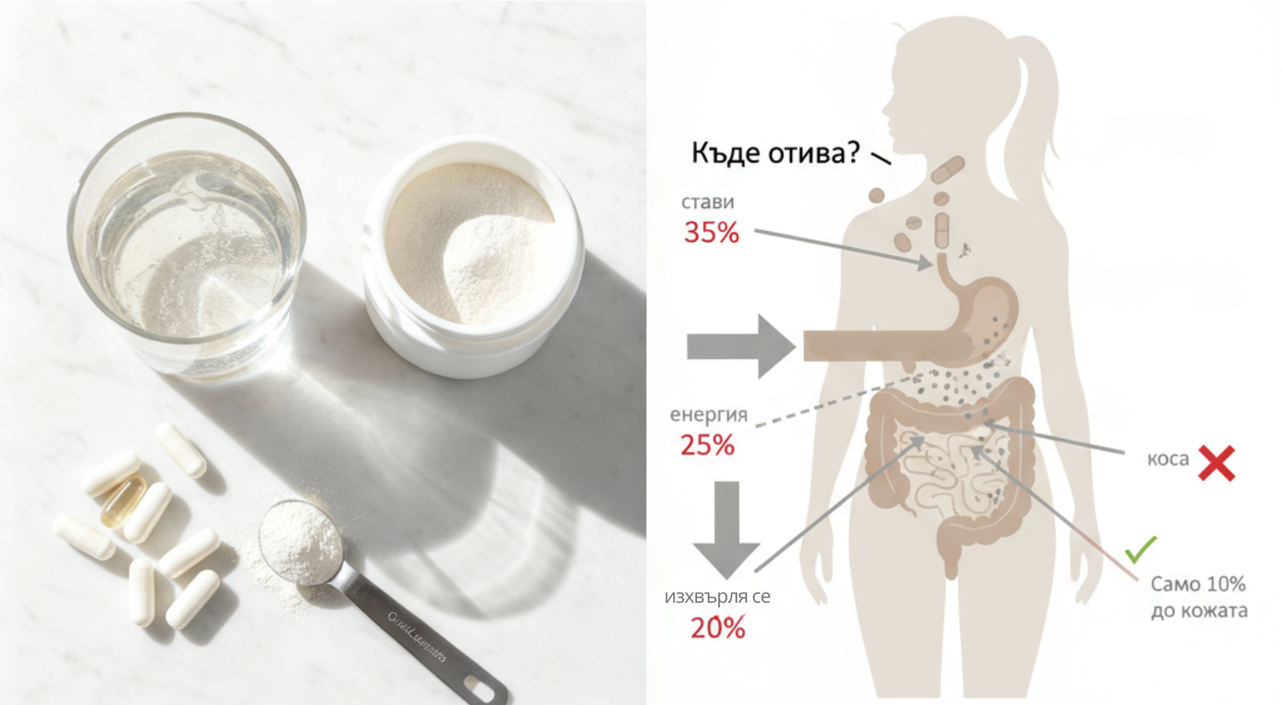 Kam kolagen ve skutečnosti v těle jde